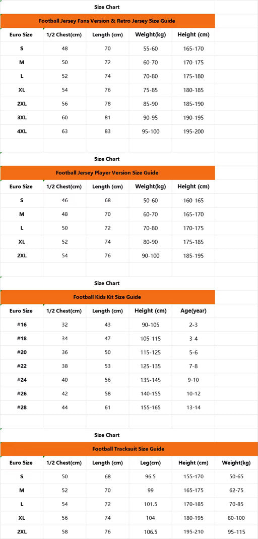 Jersey Portugal 2024-2025 nike versión jugador size L